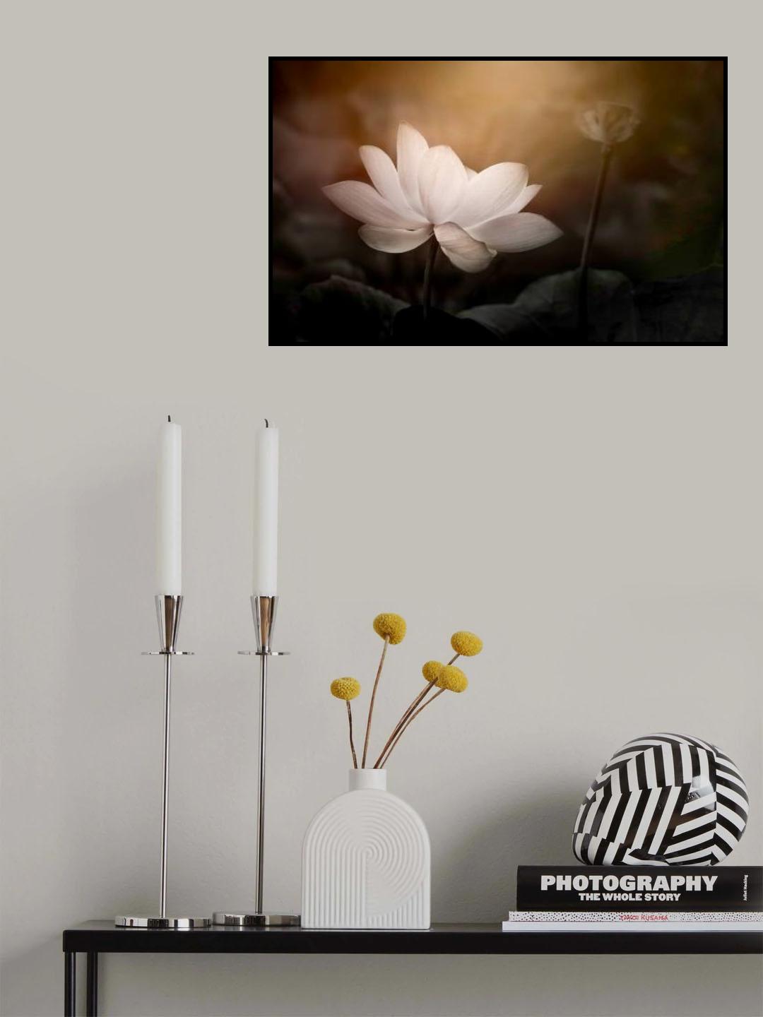 Lotus Poster och Canvastavla