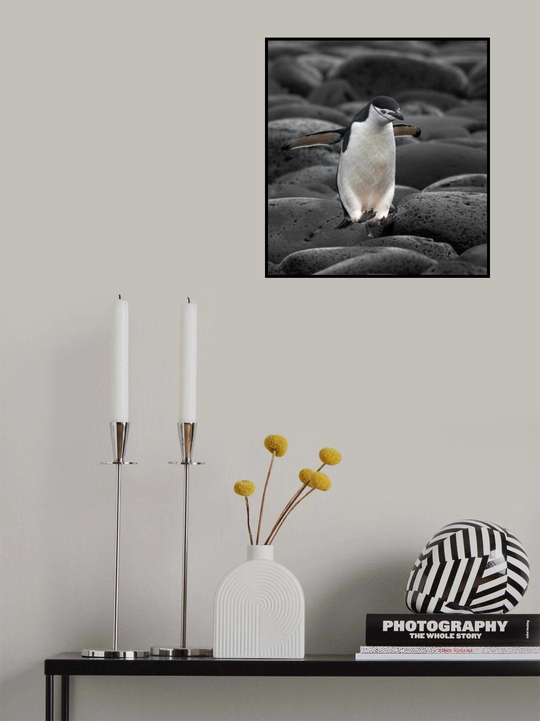 Happy Feet Poster och Canvastavla