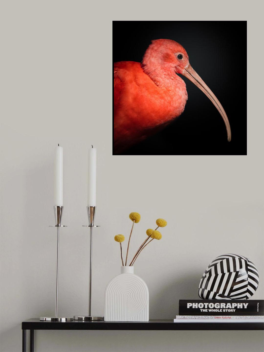 S C A R L E T Poster och Canvastavla