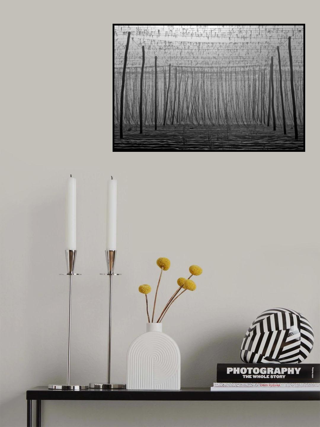 Morning in lines Poster och Canvastavla