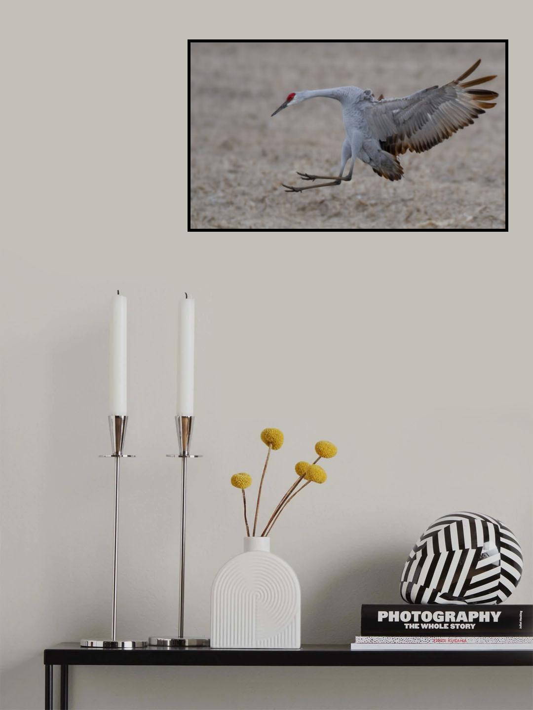 LANDING Poster och Canvastavla