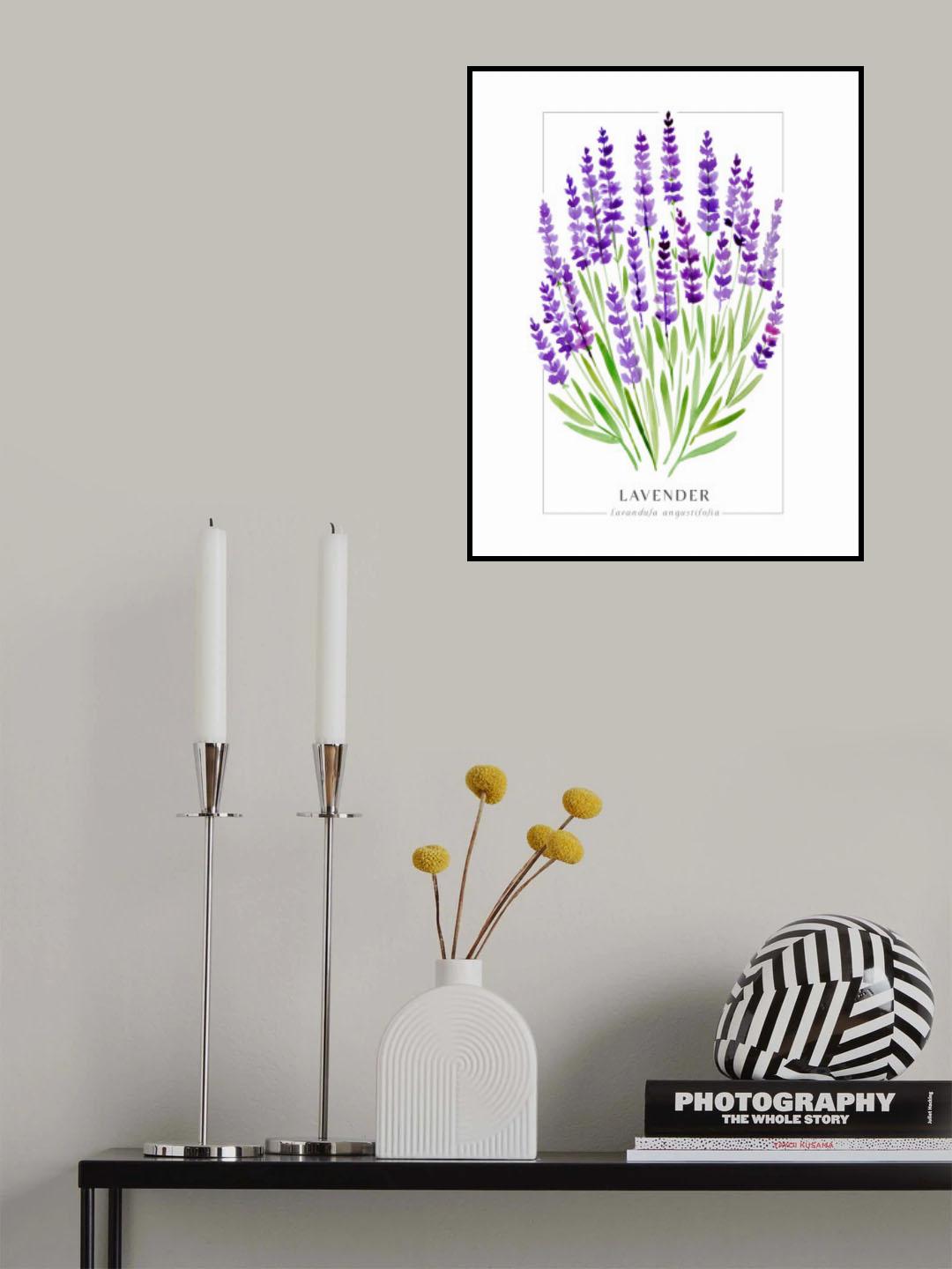 Lavender II Poster och Canvastavla