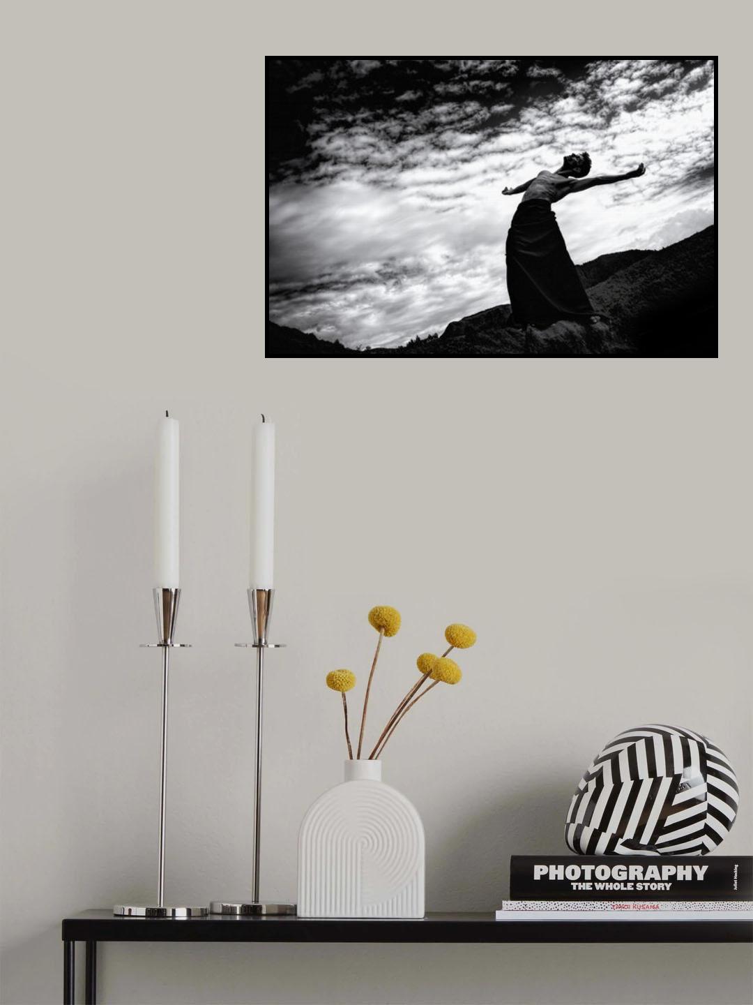n/t Poster och Canvastavla