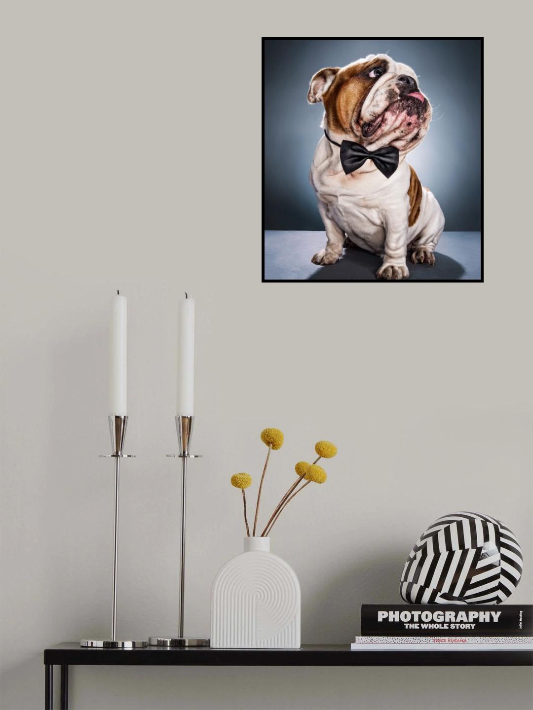 Perry Poster och Canvastavla