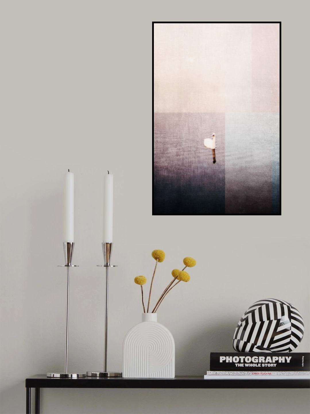 Swan in water Poster och Canvastavla