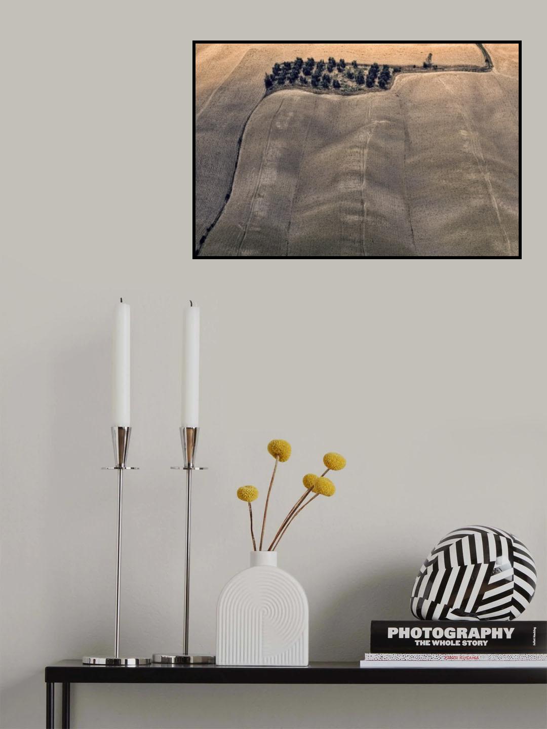 Oasis Poster och Canvastavla