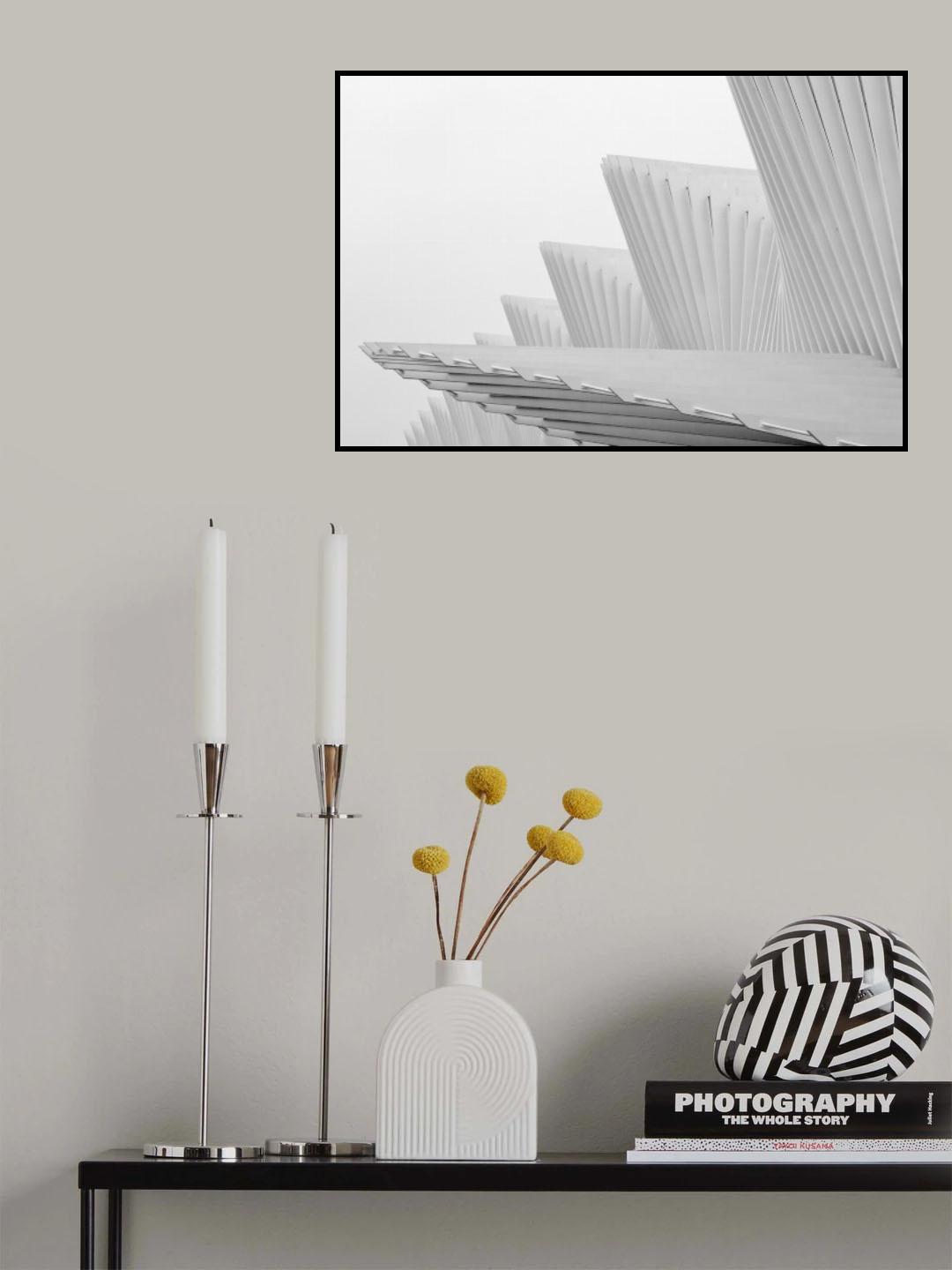 Fly Poster och Canvastavla