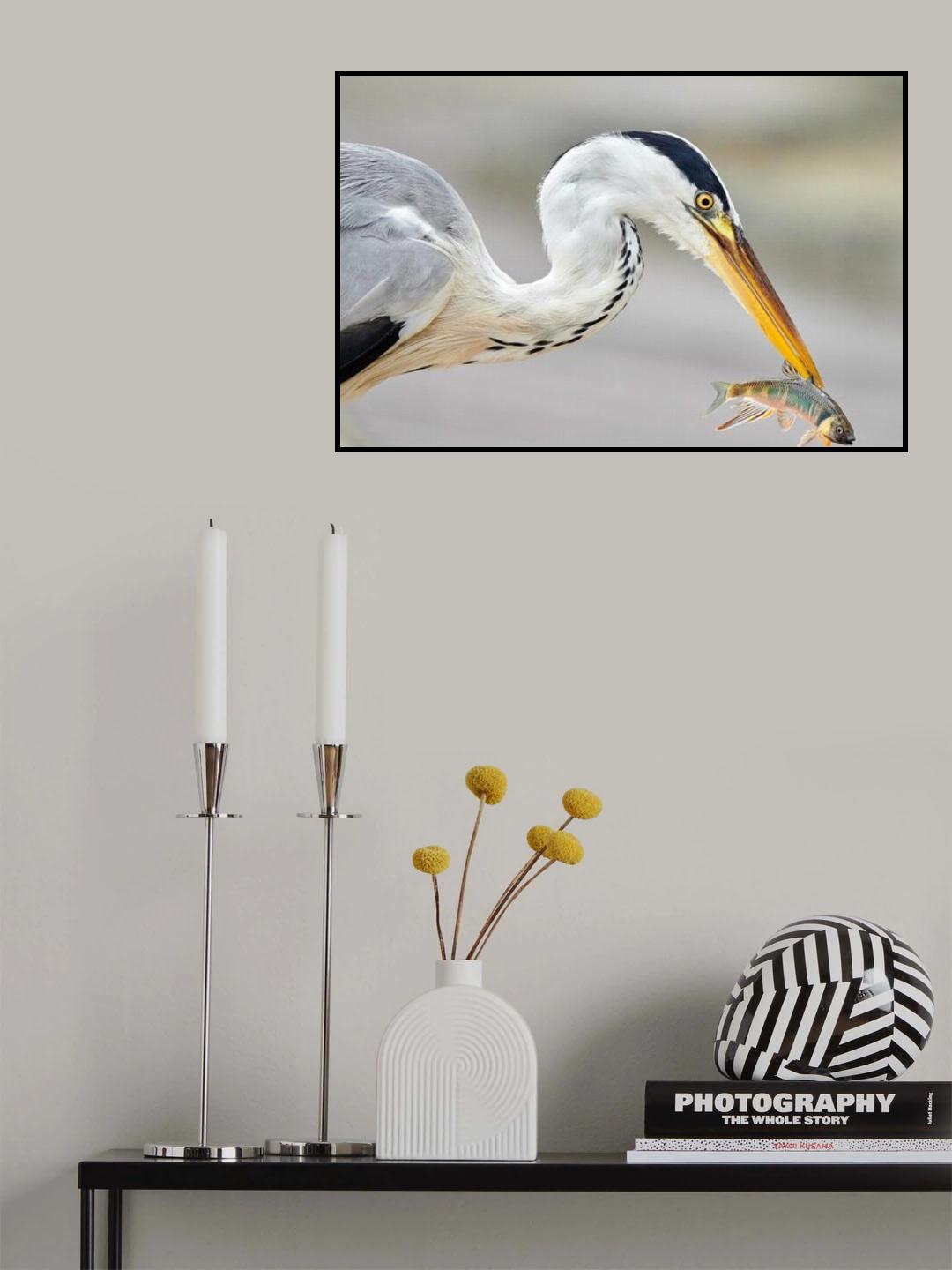 Narrow Catch Poster och Canvastavla