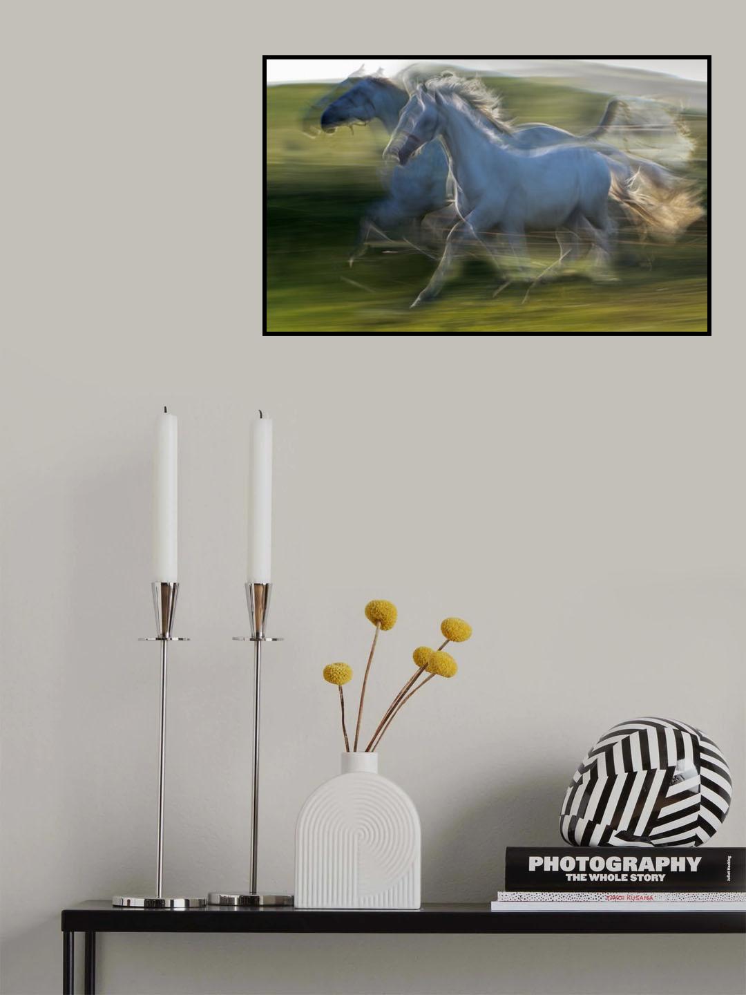 Wild duel Poster och Canvastavla