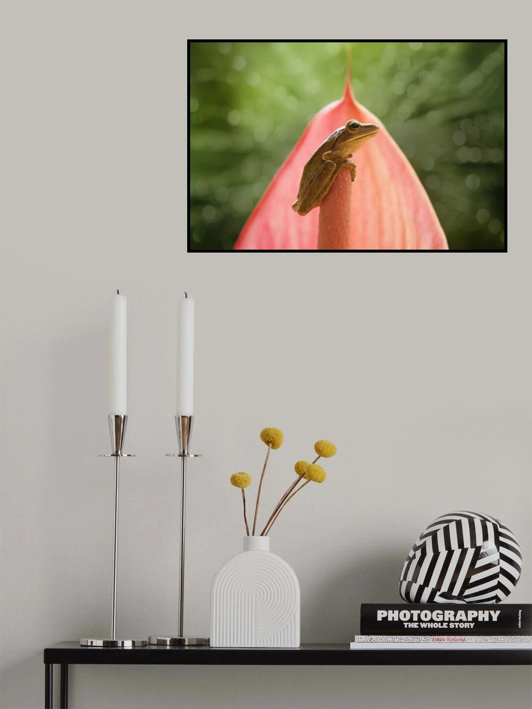 Frog on Pink Leaf Poster och Canvastavla