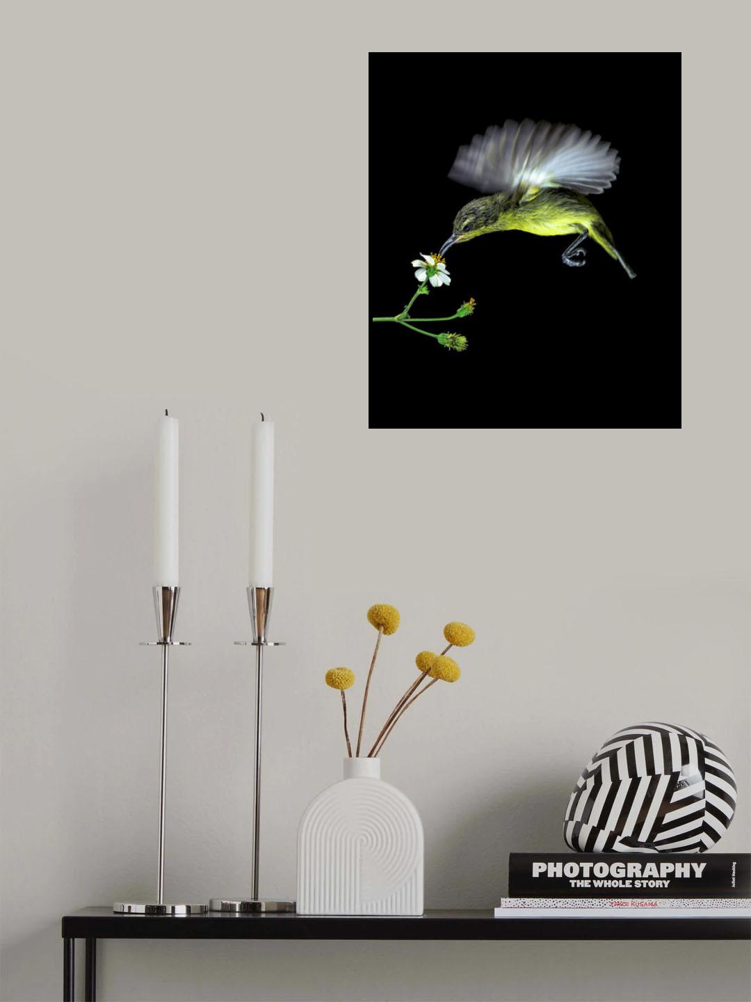 Heli Poster och Canvastavla