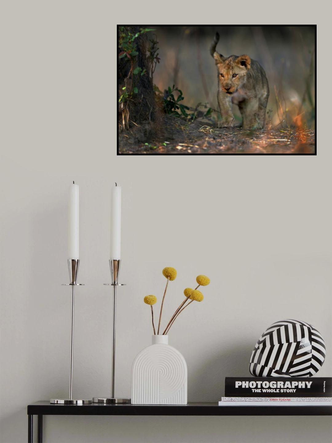 Looking In the Bush Poster och Canvastavla