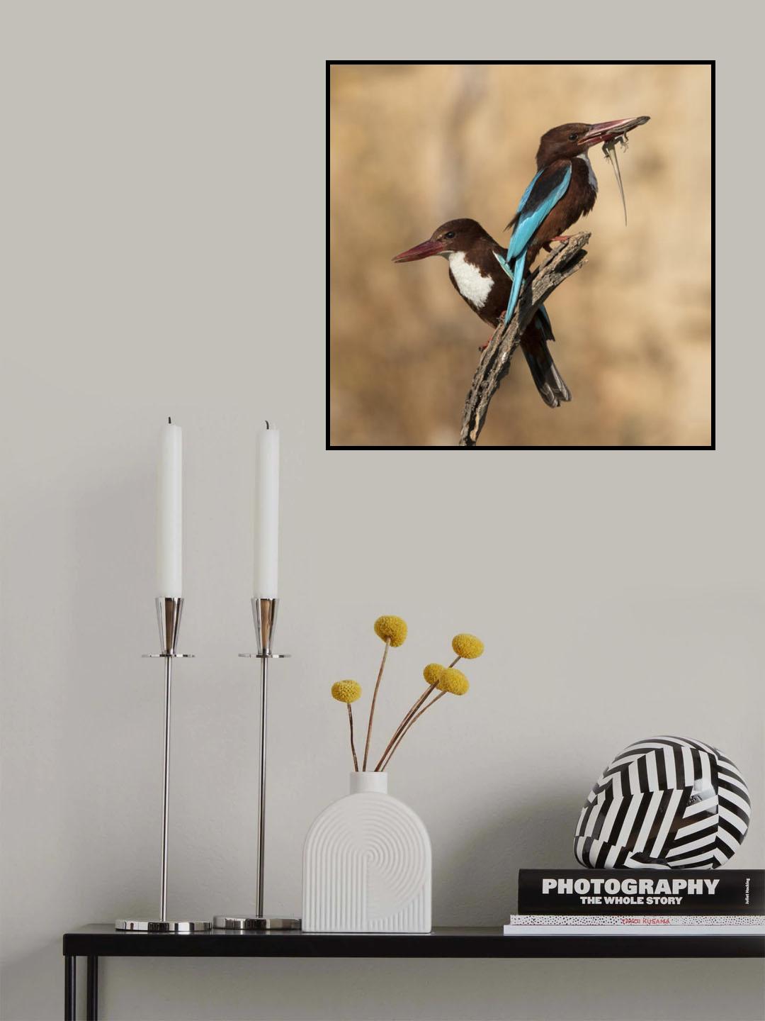 couple Poster och Canvastavla