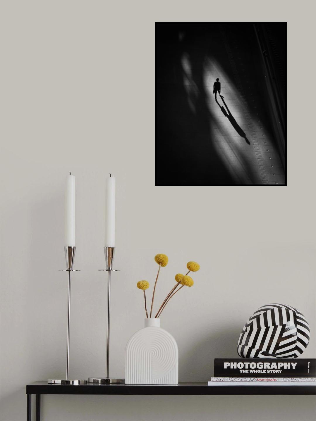 Shadow Poster och Canvastavla