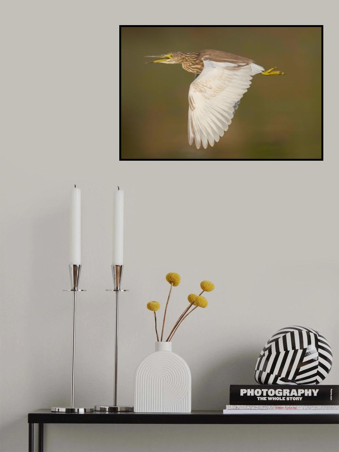 Poster och Canvastavla