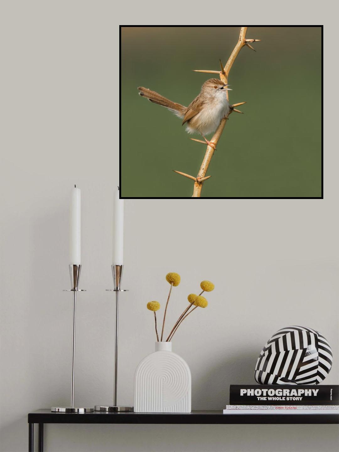 A Beak and Thorns! Poster och Canvastavla