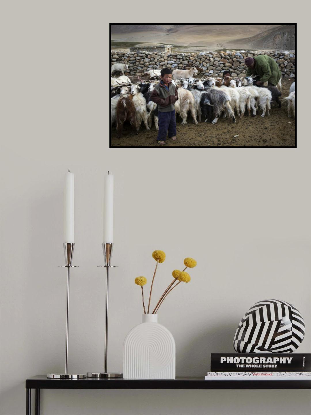 Nomadic Boy Life Poster och Canvastavla