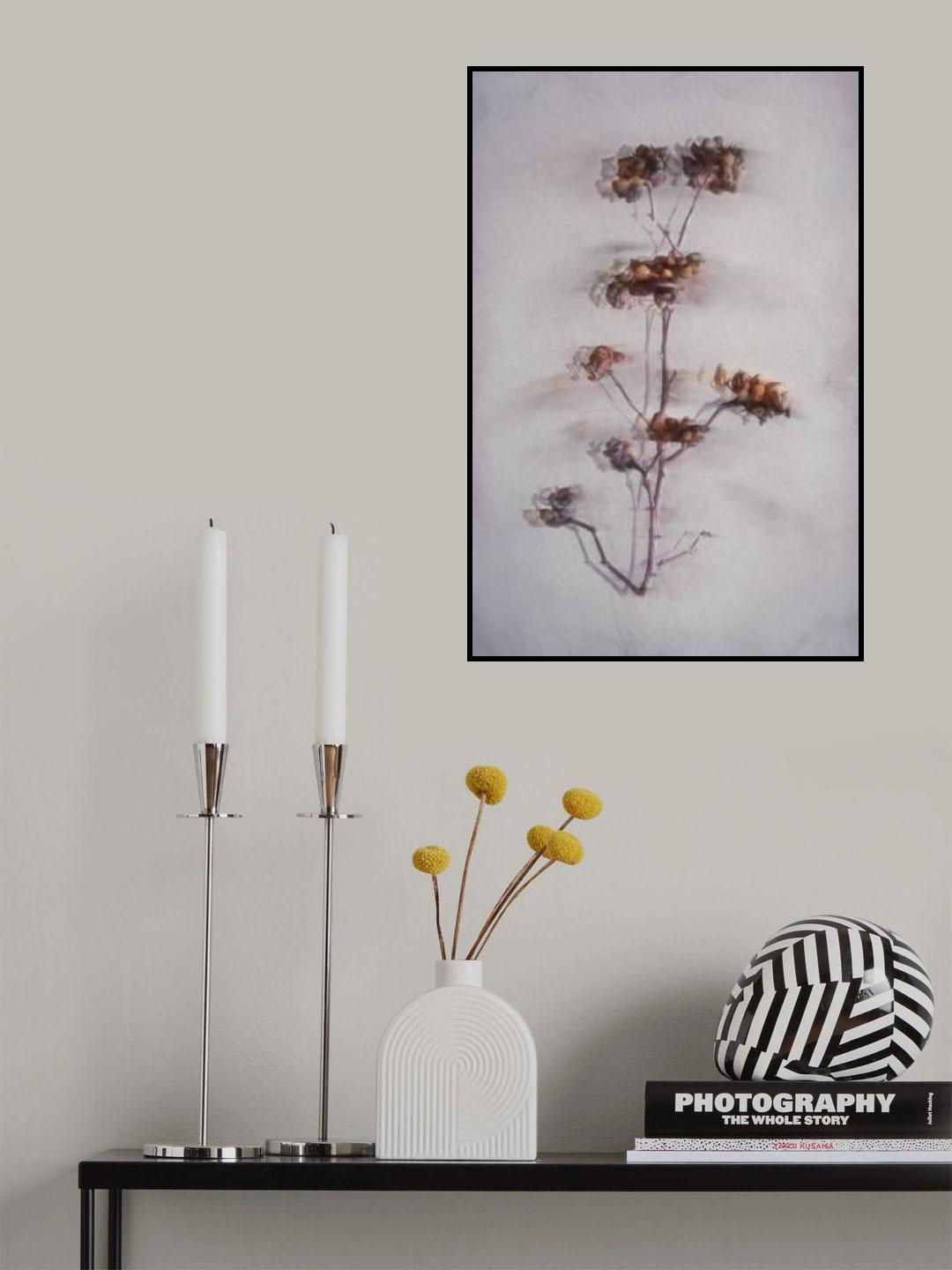 The Decay Poster och Canvastavla