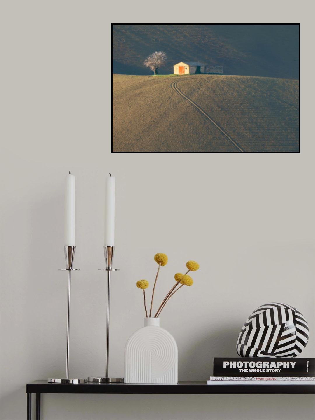 Il Casolare Poster och Canvastavla