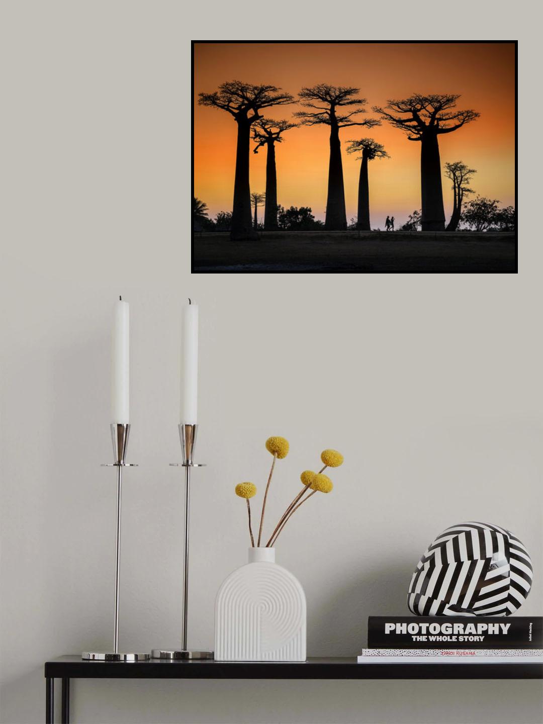 Sunset in Morondava Poster och Canvastavla