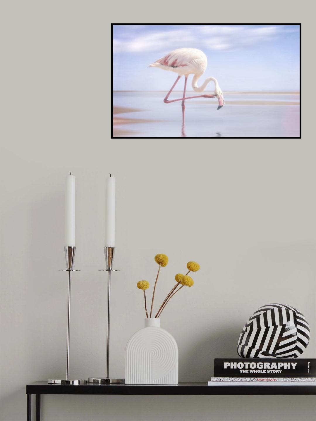 flamingo Poster och Canvastavla