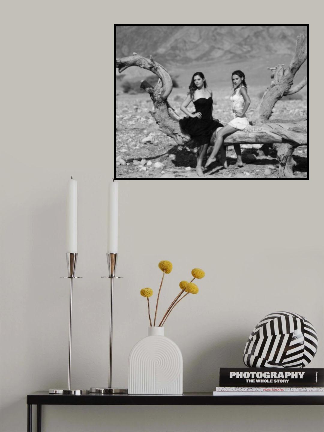 דו Poster och Canvastavla