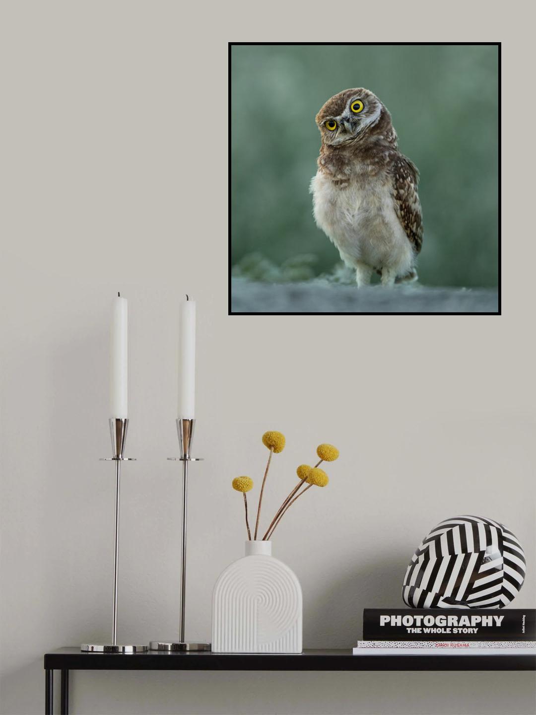 You have me at Hello Poster och Canvastavla