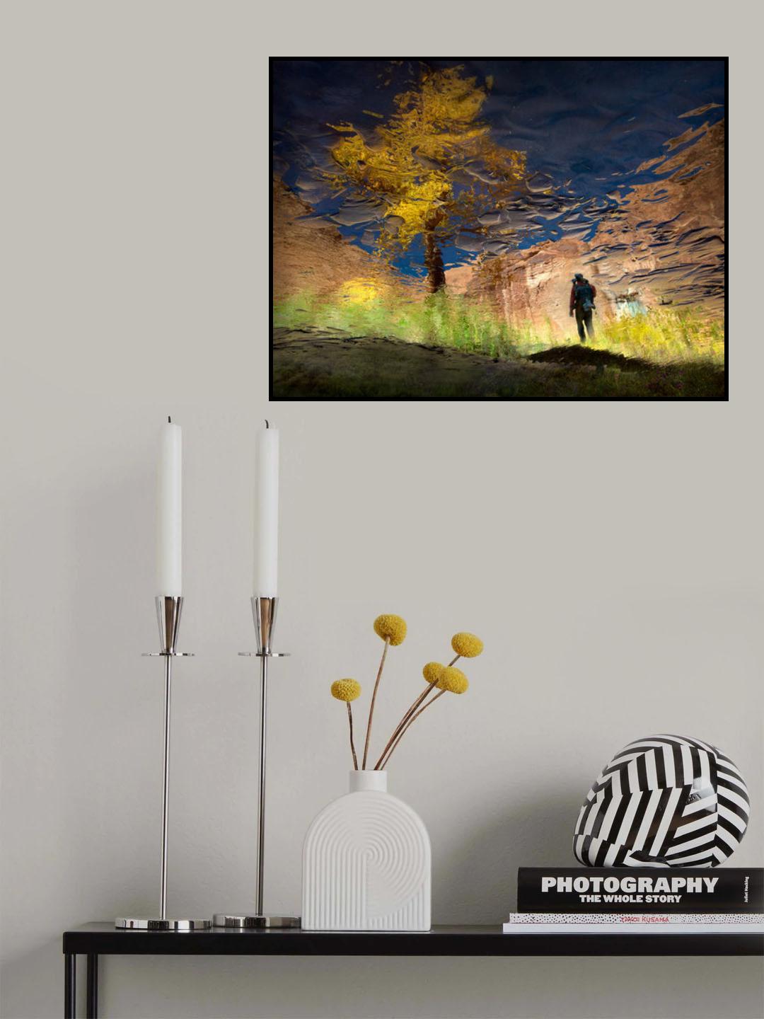 Man in Nature - Into the Canyon Poster och Canvastavla