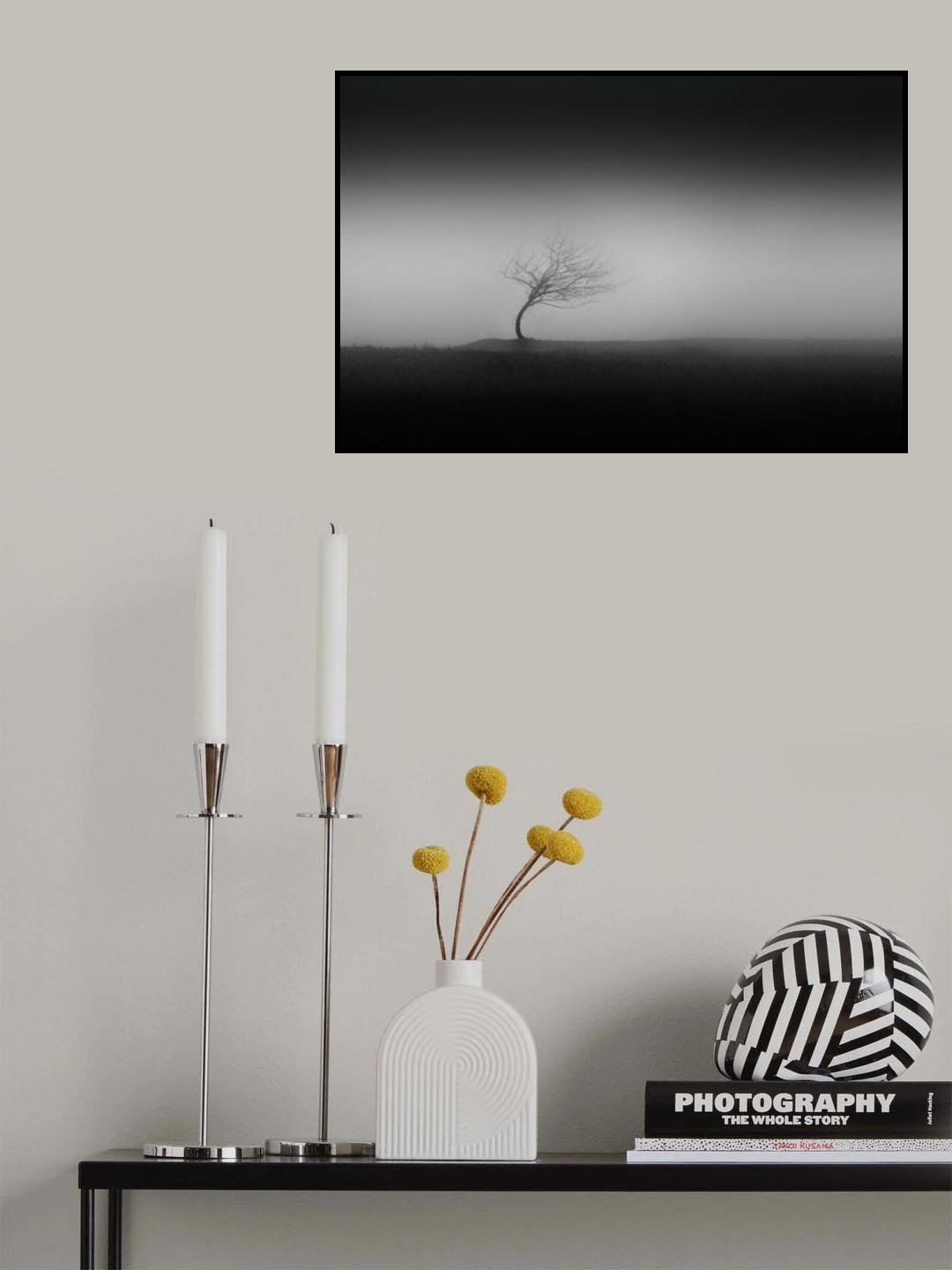 Steadiness Poster och Canvastavla