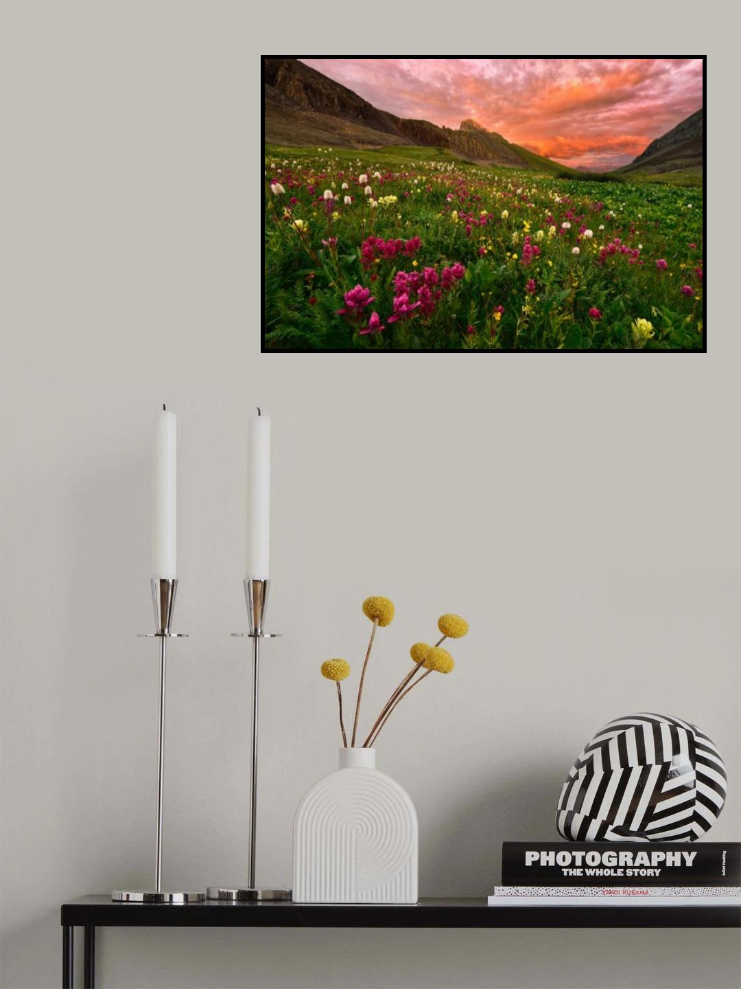 Carpet of Wildflowers Poster och Canvastavla