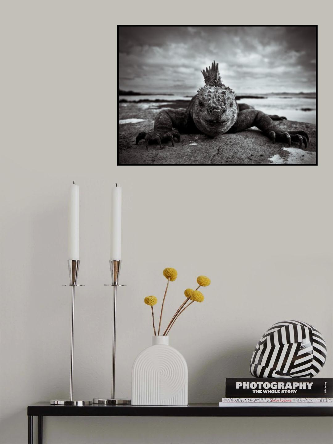 Punker Poster och Canvastavla
