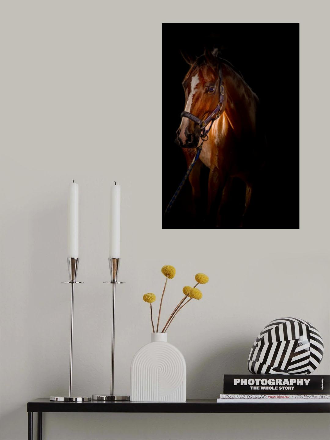 Poster och Canvastavla