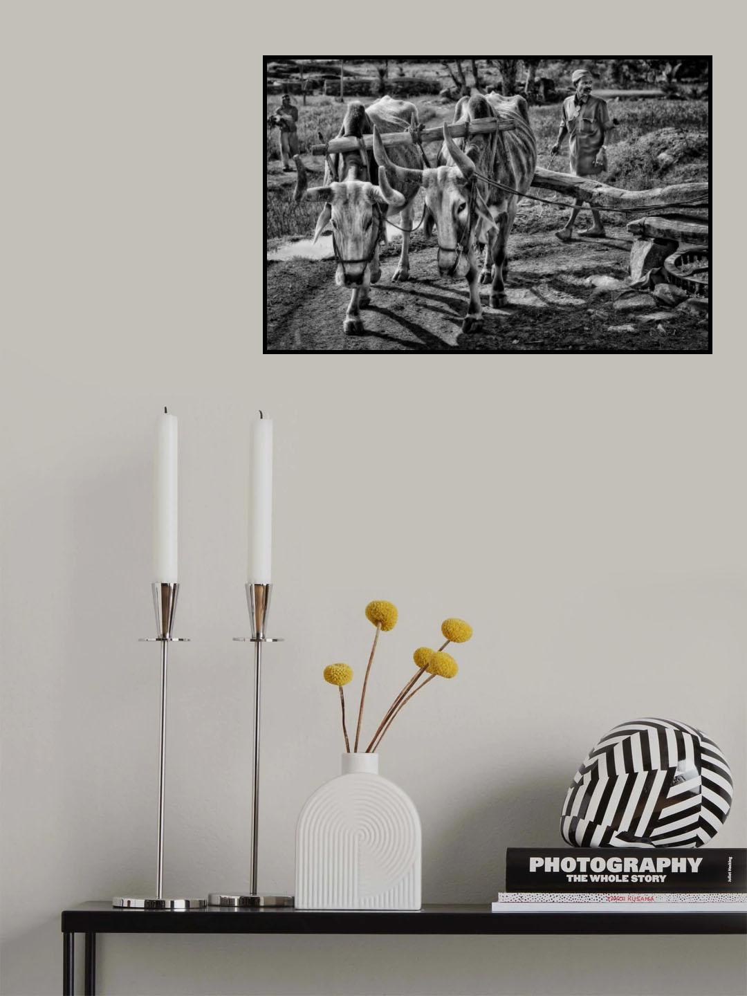water well irrigation in India Poster och Canvastavla