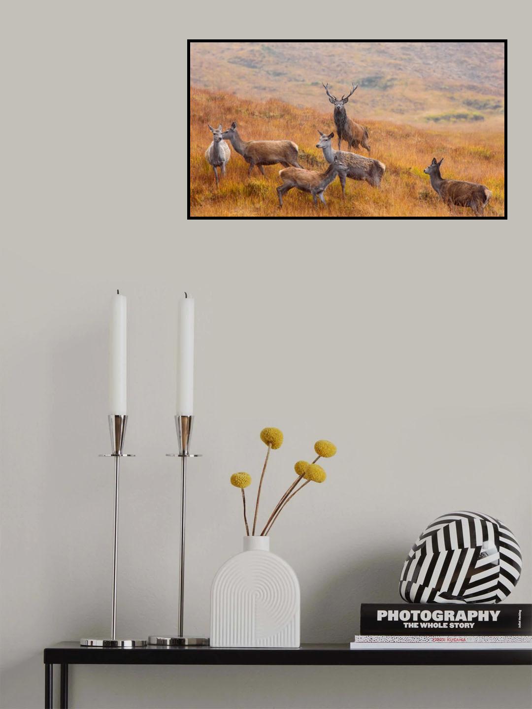 The guardian of the moorland Poster och Canvastavla