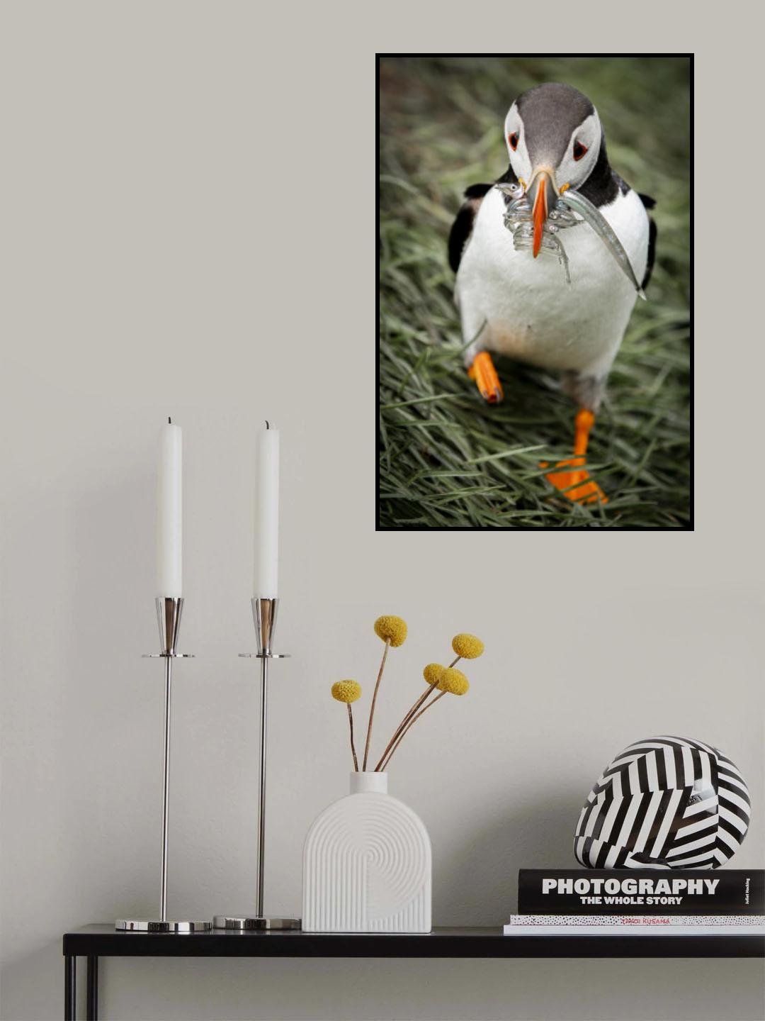 survive Poster och Canvastavla