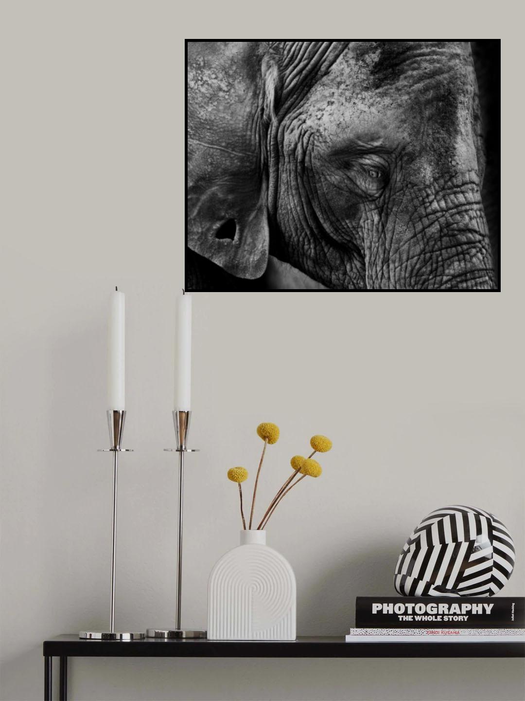 Skin Poster och Canvastavla