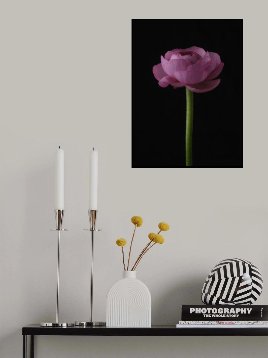 pink flower Poster och Canvastavla