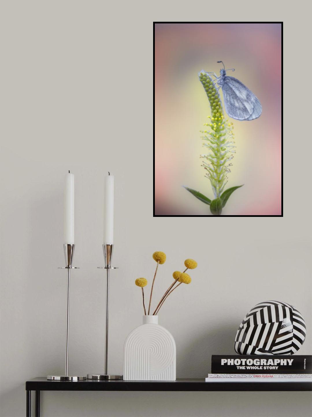Wood White Poster och Canvastavla