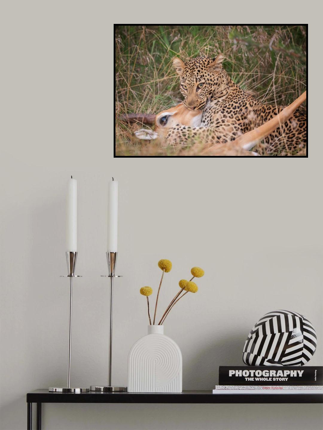 Leopard Hunting Poster och Canvastavla