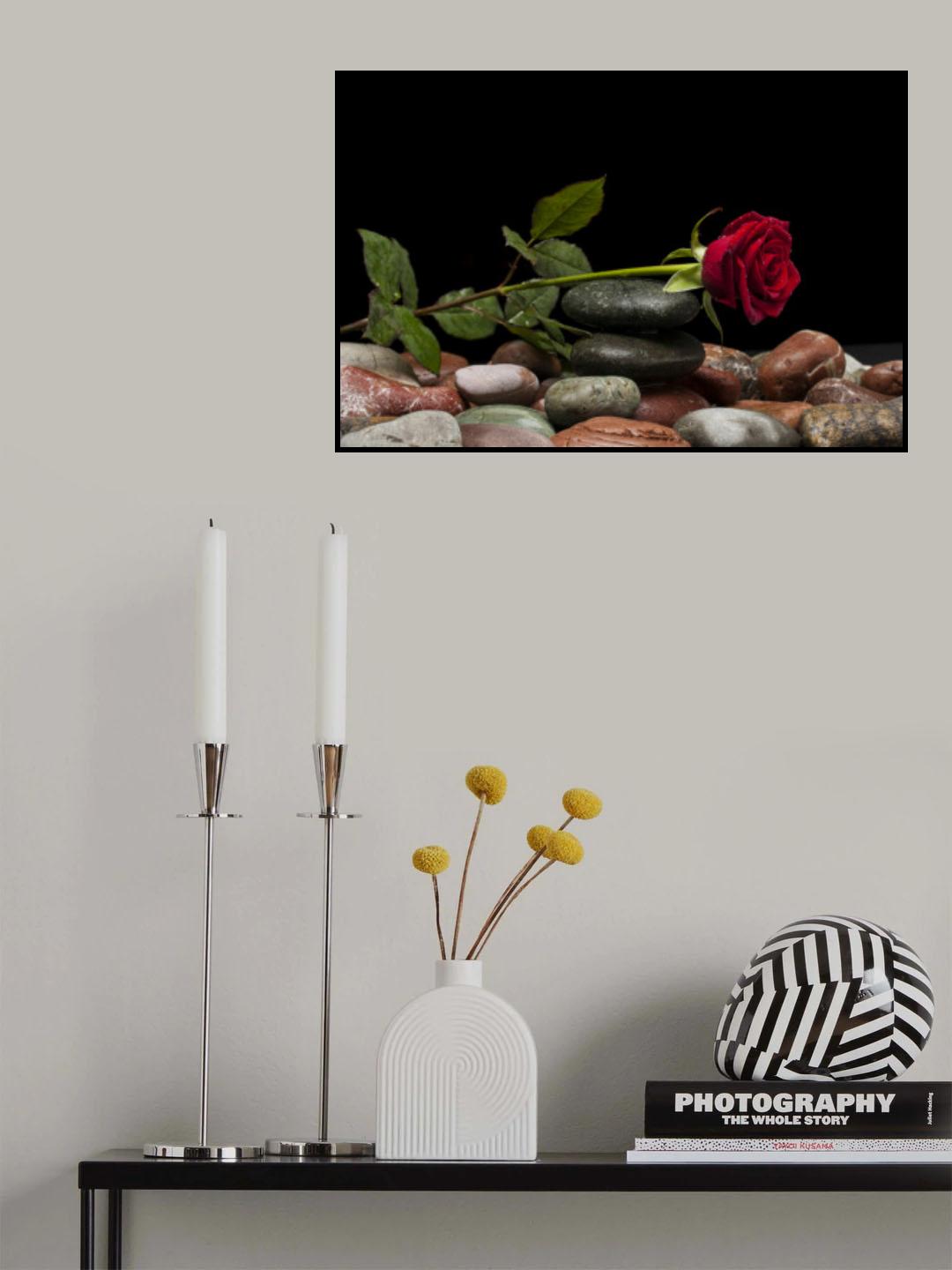 red rose Poster och Canvastavla
