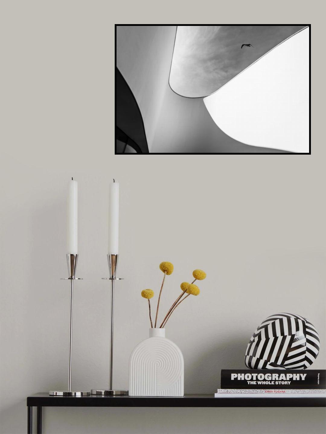 Curves Poster och Canvastavla