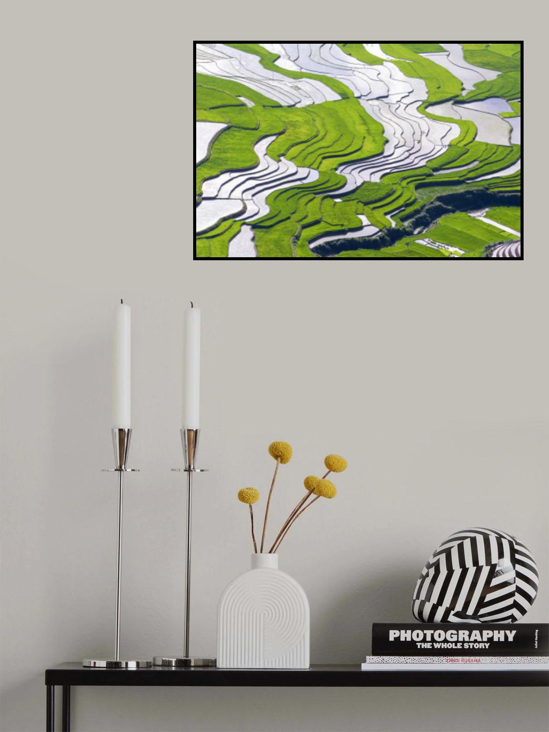 Lineart of terraces in Khau Pha_Mu Cang Chai_ Yen Bai_03 Poster och Canvastavla