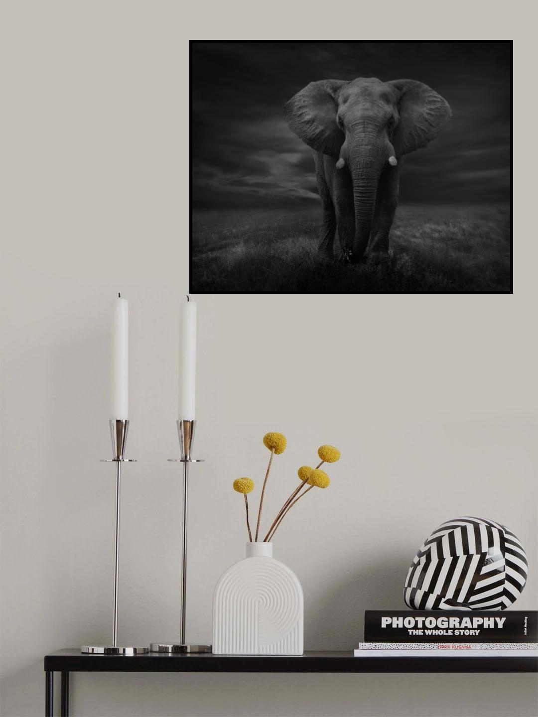 The Lonely Elephant Poster och Canvastavla