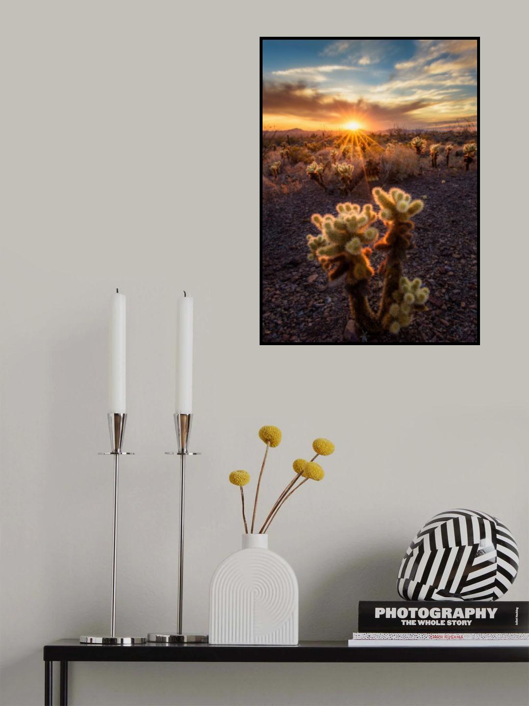 This is my territory Poster och Canvastavla