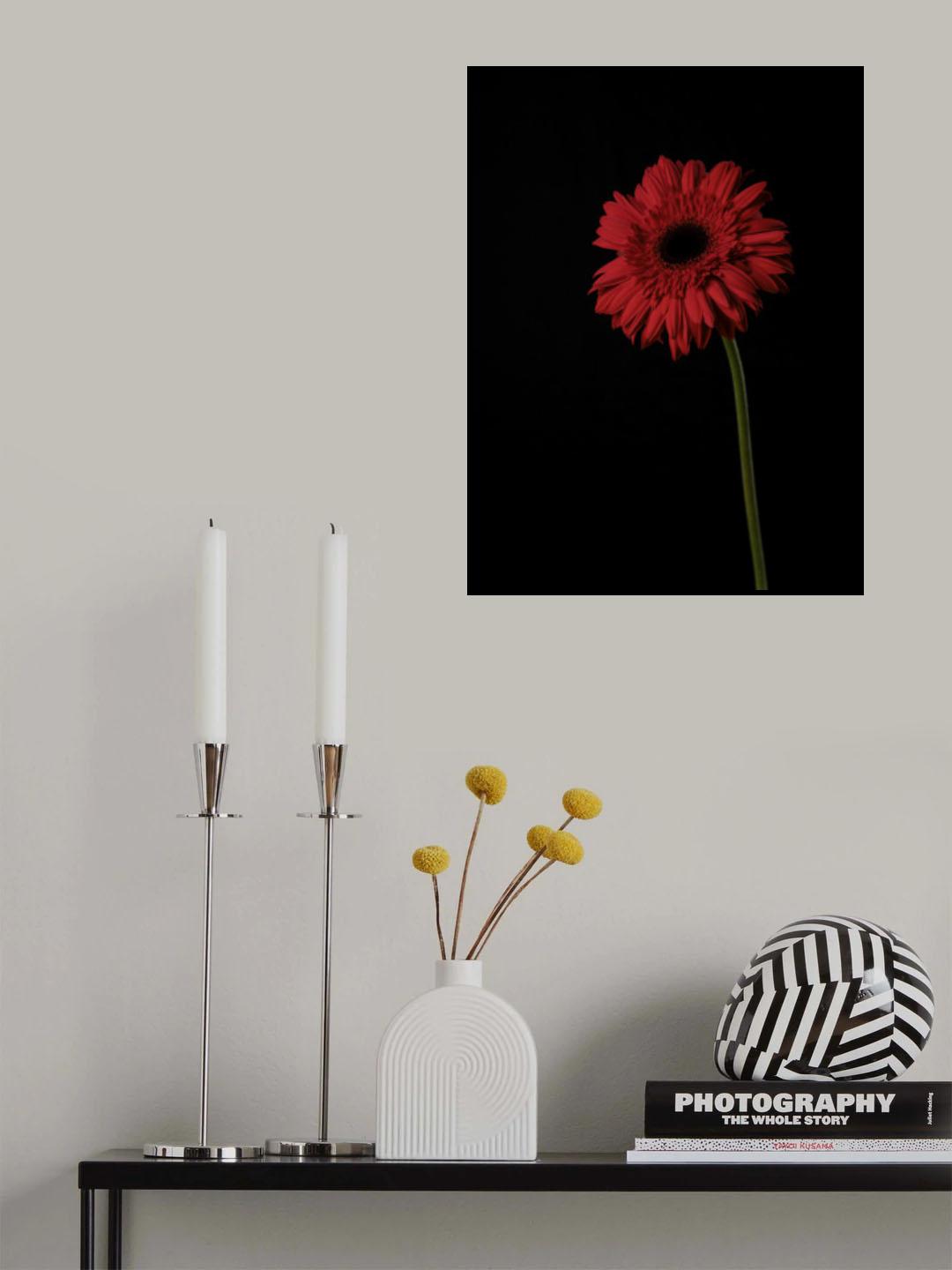 Beautiful flower Poster och Canvastavla