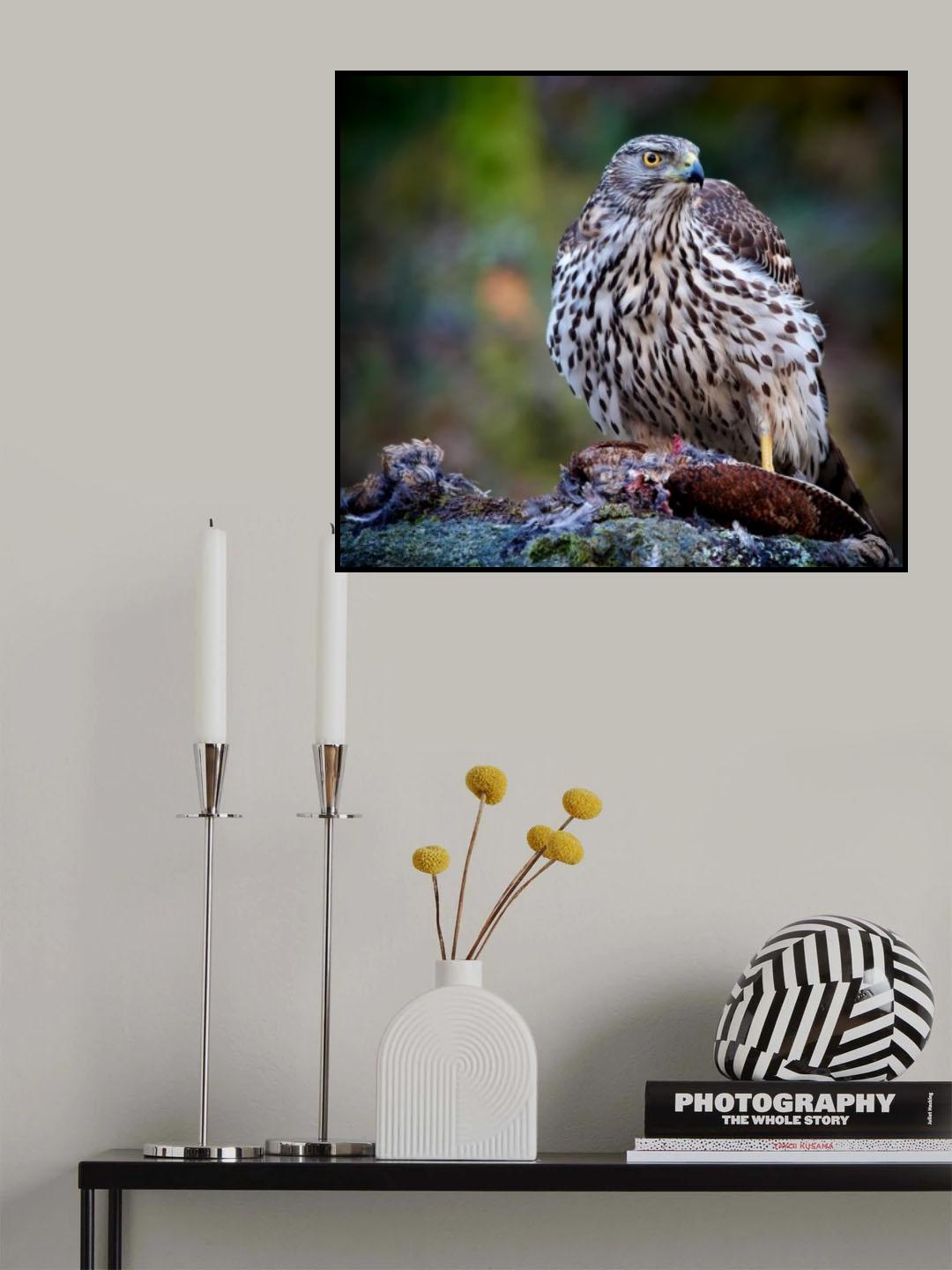 I see you Poster och Canvastavla
