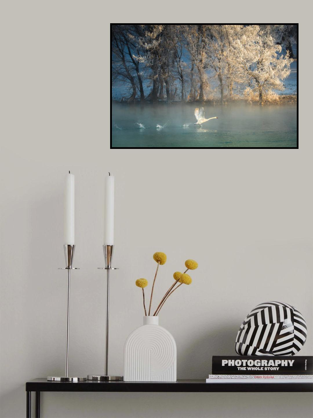 Spirit of a swan Poster och Canvastavla