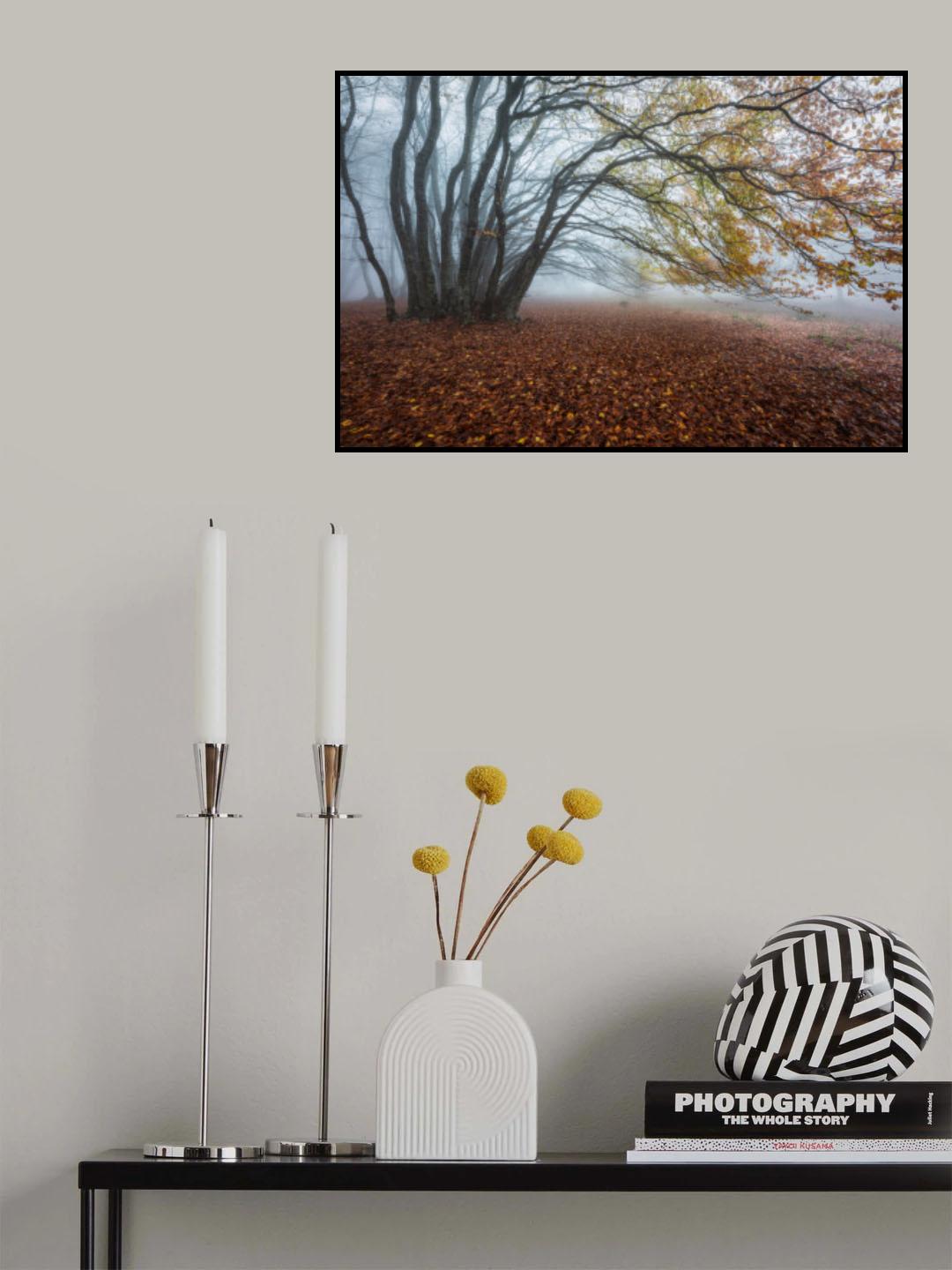 Fog in the woods Poster och Canvastavla