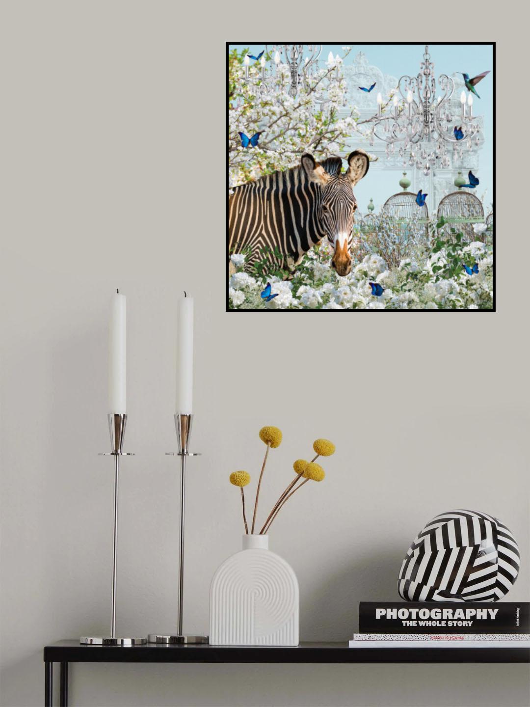 Zebra Dreams Poster och Canvastavla