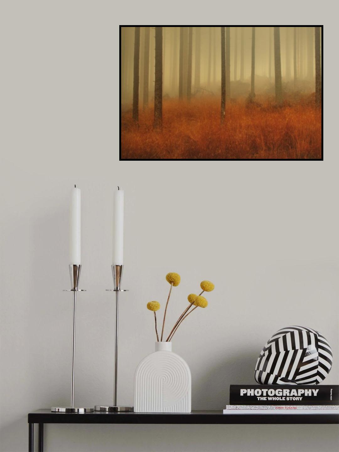 Golden Legs Poster och Canvastavla